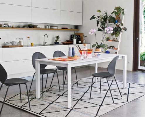 Basil sedie calligaris
